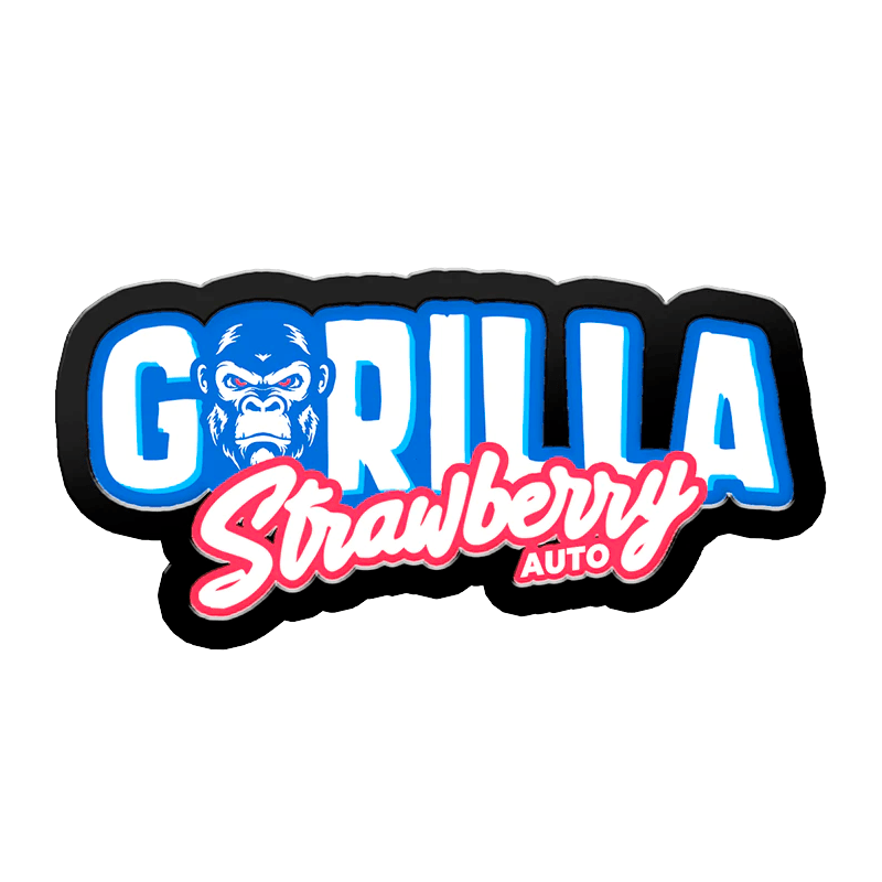 strawberry gorilla auto seeds Strawberry Gorilla Auto | Fast Buds