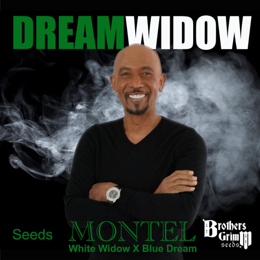 Montel's Dream Widow
