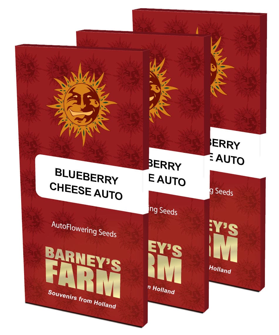 Blueberry Cheese Auto