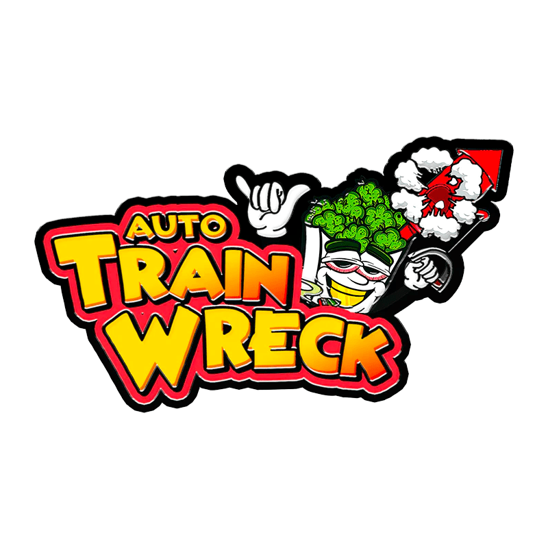 Original Auto Trainwreck