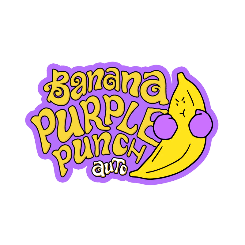 Banana Purple Punch Auto
