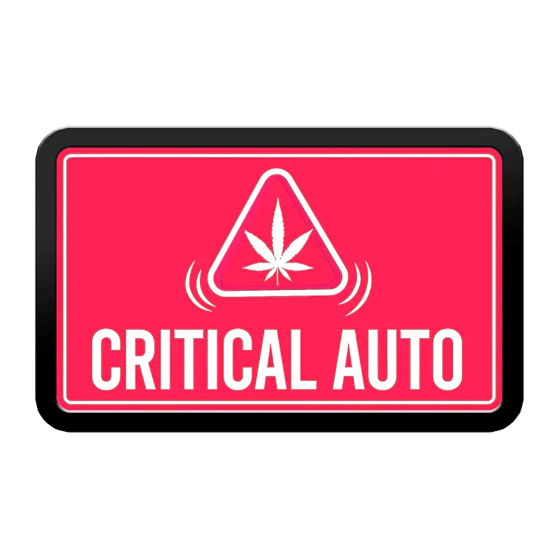 Original Auto Critical
