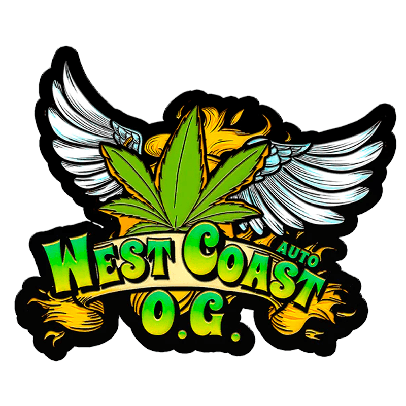 Fast Buds West Coast O.G. Auto