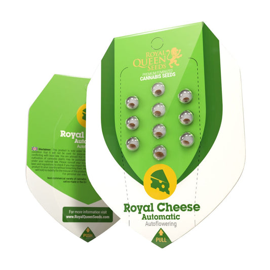 Royal Cheese Automatic