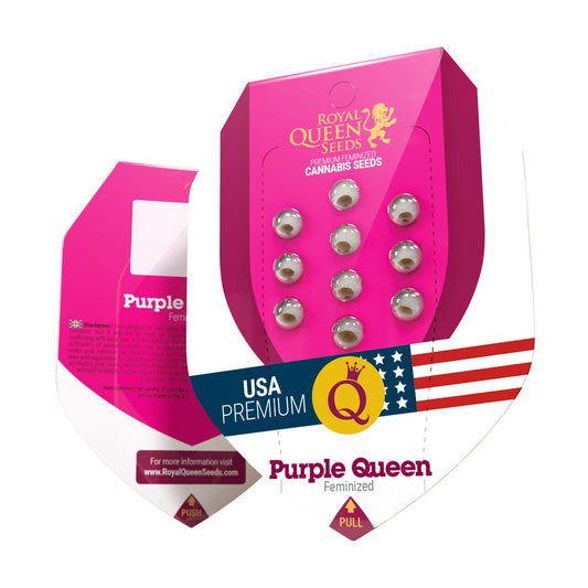 RQS Purple Queen